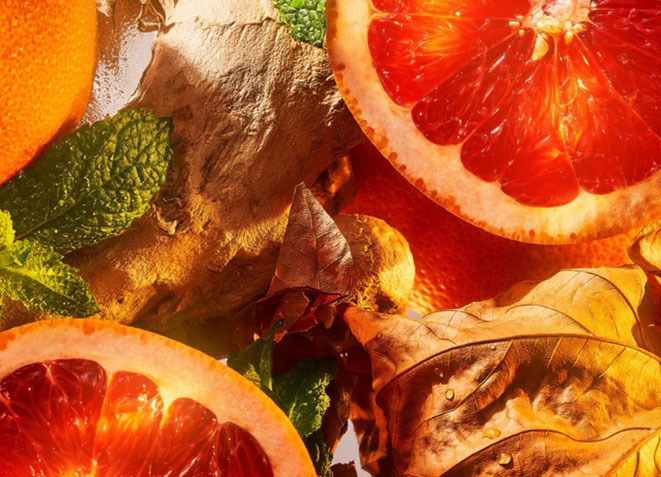 Burlington 1819 by Roja London